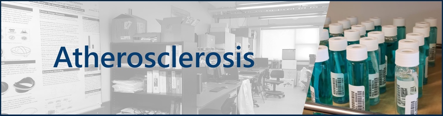 Atherosclerosis Banner